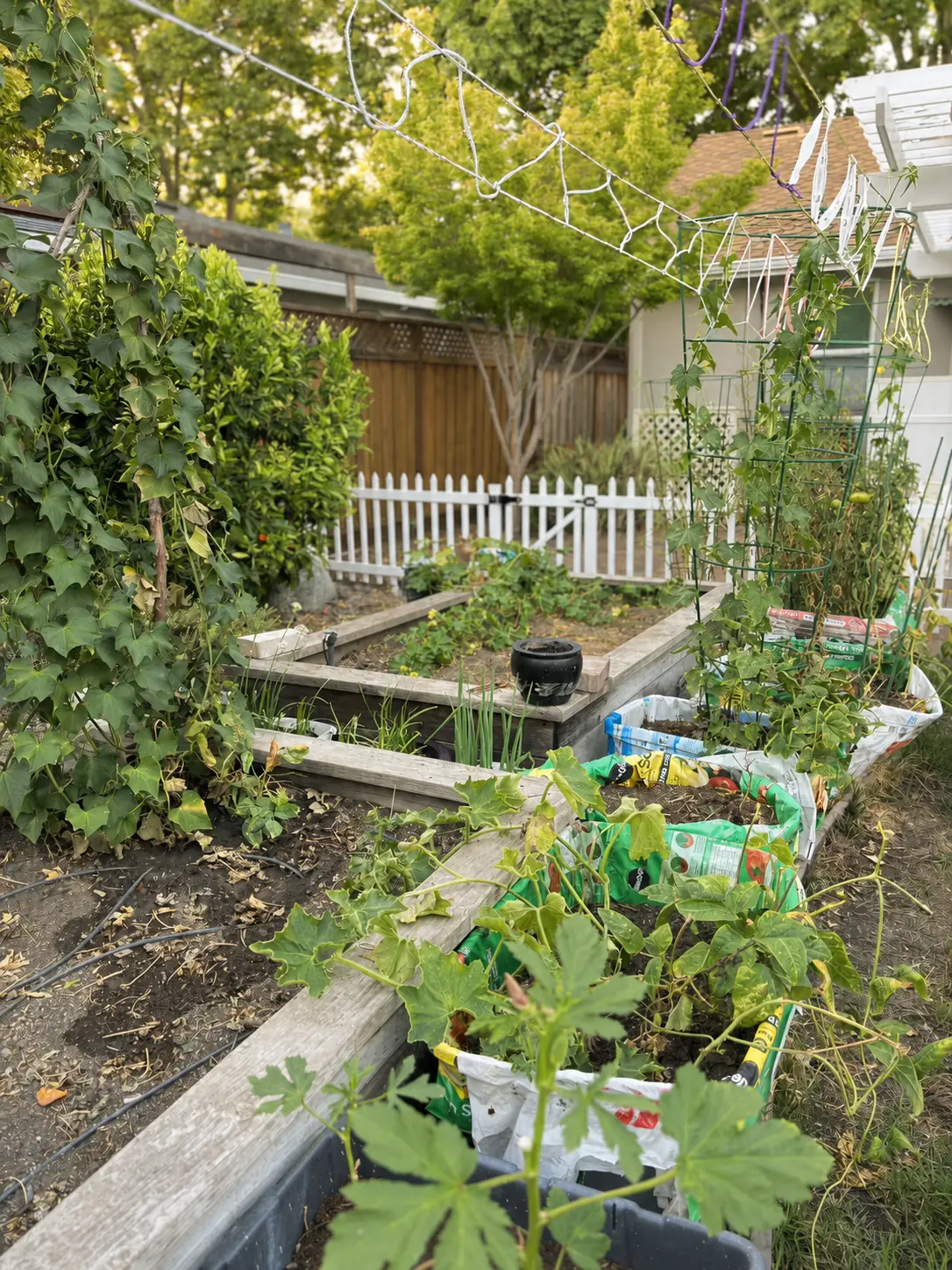 Dodo Kids outdoor garden with raised planting beds and greenery