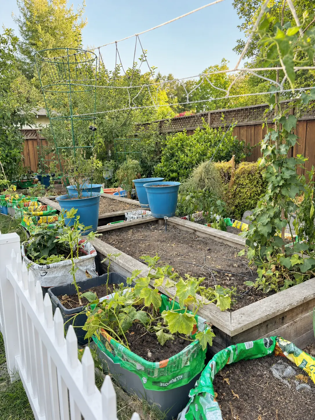 Garden learning area with planters, growing plants, and child-friendly paths